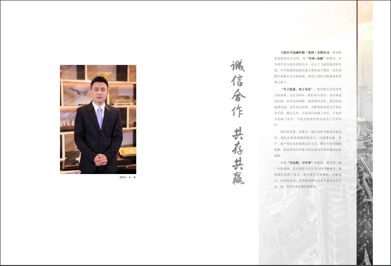 上海阜興實(shí)業(yè)集團(tuán)畫冊設(shè)計(jì)圖片