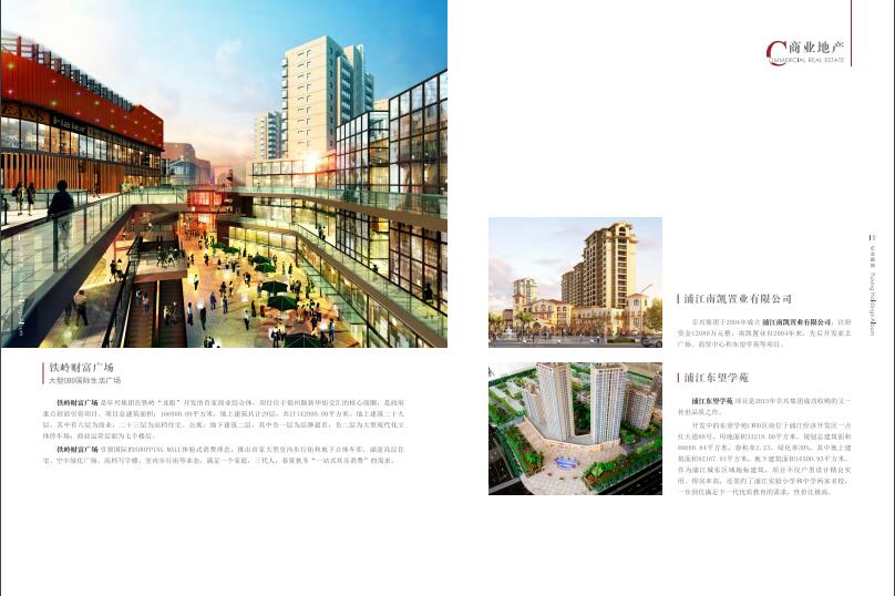 上海阜興實(shí)業(yè)集團(tuán)畫冊設(shè)計(jì)圖片